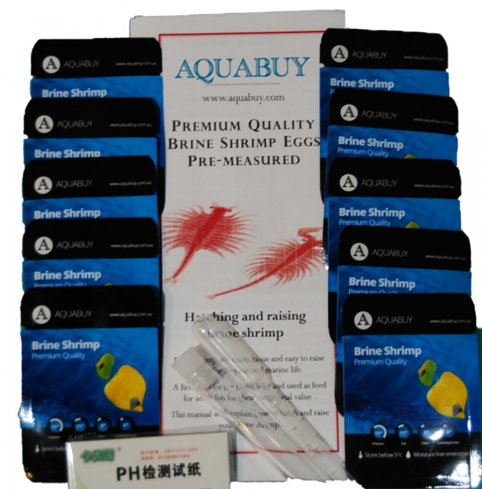 Brine Shrimp Eggs for 500mL of water -10  packs - Pre-Measured easy to use